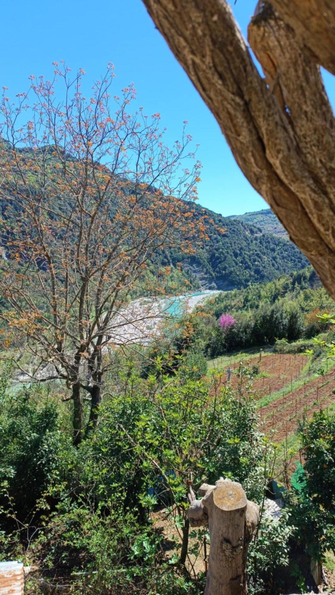 Vila Ktimata Evdoxia Platanoussa Exteriér fotografie